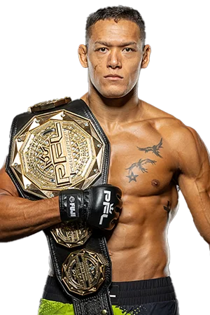 Costello van Steenis